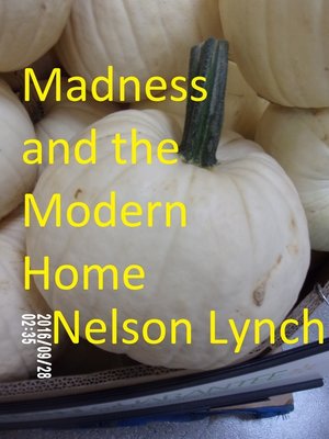 cover image of Madness and the Modern Home
